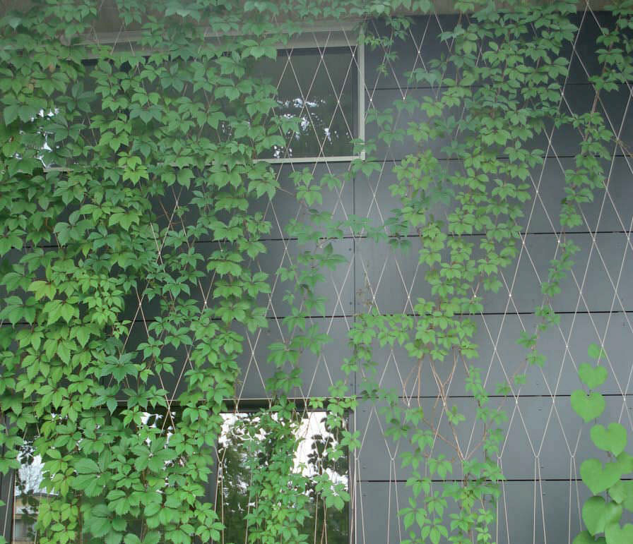 Weatherproof Green Wall Mesh Lightweight For Living Green Walls Plant Surviving
