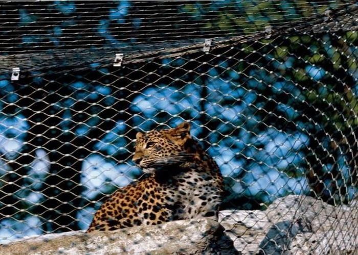 High Durability Animal Enclosure Mesh Lightweight With Woven Type / Ferrule Type